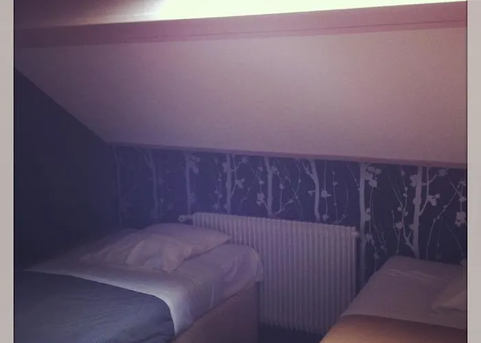 Auberge de jeunesse Eco